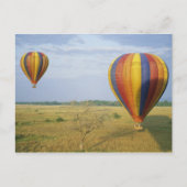 Nationaal Park Afrika, Kenia, Masai Mara Briefkaart (Voorkant)