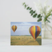 Nationaal Park Afrika, Kenia, Masai Mara Briefkaart (Staand voorkant)