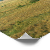 Nationaal Park Afrika, Kenia, Masai Mara Poster (Hoek)