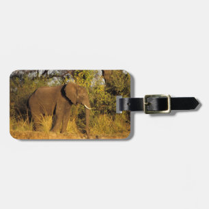 Nationaal Park Afrika, Zimbabwe, Victoria Herfsten Bagagelabel