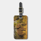 Nationaal Park Afrika, Zimbabwe, Victoria Herfsten Bagagelabel (Voorkant verticaal)