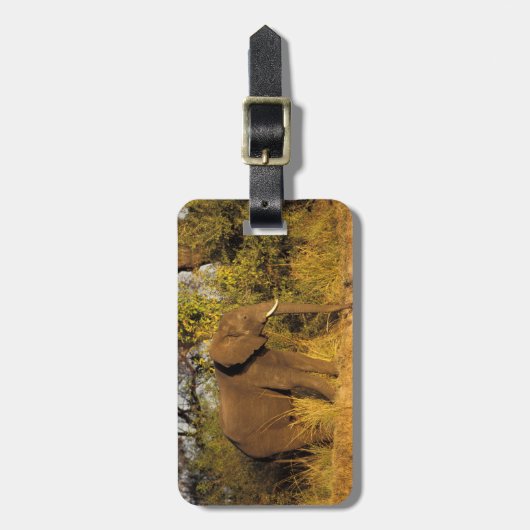 Nationaal Park Afrika, Zimbabwe, Victoria Herfsten Bagagelabel (Voorkant verticaal)