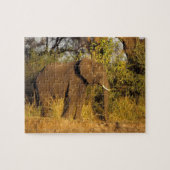 Nationaal Park Afrika, Zimbabwe, Victoria Herfsten Legpuzzel (Horizontaal)