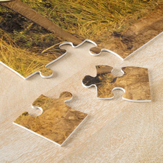 Nationaal Park Afrika, Zimbabwe, Victoria Herfsten Legpuzzel (Zijkant)