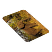 Nationaal Park Afrika, Zimbabwe, Victoria Herfsten Magneet (Rechterzijde)