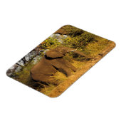 Nationaal Park Afrika, Zimbabwe, Victoria Herfsten Magneet (Linkerzijde)