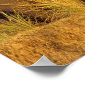 Nationaal Park Afrika, Zimbabwe, Victoria Herfsten Poster (Hoek)