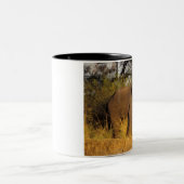 Nationaal Park Afrika, Zimbabwe, Victoria Herfsten Tweekleurige Koffiemok (Center)