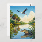 Nationaal park Alligator en Heron Everglades Briefkaart (Voorkant / Achterkant)
