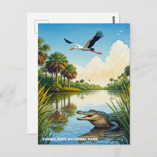 Nationaal park Alligator en Heron Everglades Briefkaart (Voorkant / Achterkant)
