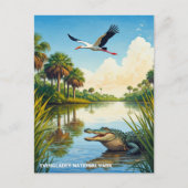Nationaal park Alligator en Heron Everglades Briefkaart (Voorkant)