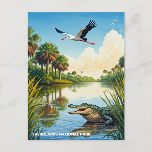 Nationaal park Alligator en Heron Everglades Briefkaart (Voorkant)