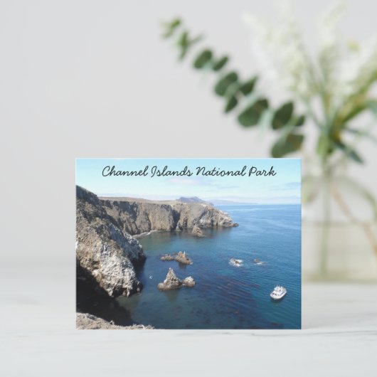 Nationaal park Anacapa Island - Kanaaleilanden Briefkaart (Staand voorkant)
