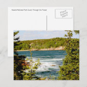 Nationaal park Arcadia door de bomen Briefkaart (Voorkant / Achterkant)