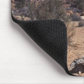 Nationaal Park Arches Muismat (Hoek)