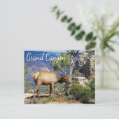 Nationaal park Arizona Briefkaart Grand Canyon (Staand voorkant)