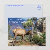 Nationaal park Arizona Briefkaart Grand Canyon (Voorkant / Achterkant)