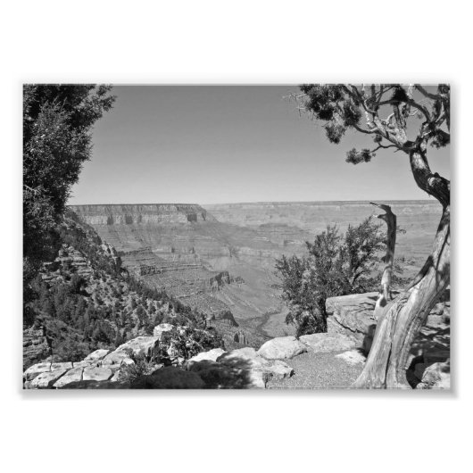 Nationaal park B&W Grand Canyon 3 Foto Afdruk (Voorkant)