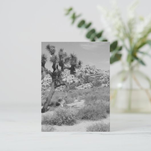 Nationaal park B&W Joshua Tree 3 Briefkaart (Staand voorkant)