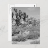 Nationaal park B&W Joshua Tree 3 Briefkaart (Voorkant / Achterkant)