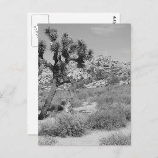 Nationaal park B&W Joshua Tree 3 Briefkaart (Voorkant / Achterkant)