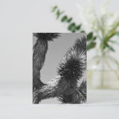 Nationaal park B&W Joshua Tree 4 Briefkaart (Staand voorkant)