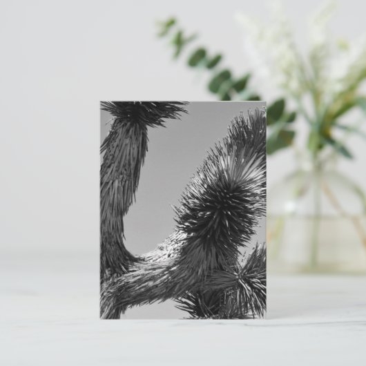 Nationaal park B&W Joshua Tree 4 Briefkaart (Staand voorkant)