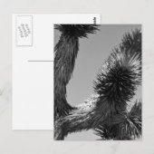 Nationaal park B&W Joshua Tree 4 Briefkaart (Voorkant / Achterkant)