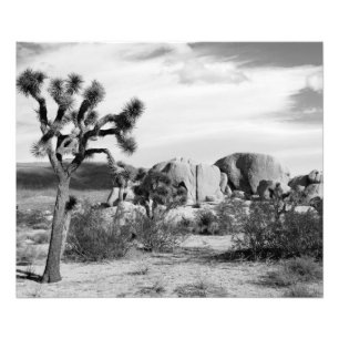 Nationaal park B&W Joshua Tree Foto Afdruk