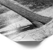 Nationaal park B&W Joshua Tree Foto Afdruk (Hoek)