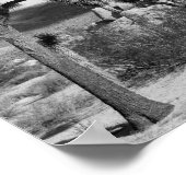 Nationaal park B&W Joshua Tree Poster (Hoek)