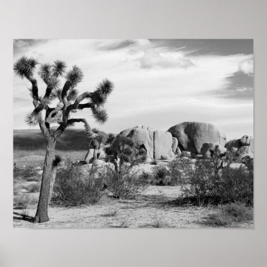Nationaal park B&W Joshua Tree Poster (Voorkant)