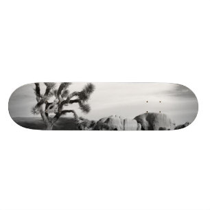 Nationaal park B&W Joshua Tree Skateboard