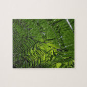 Nationaal park Bach Ma Legpuzzel (Horizontaal)