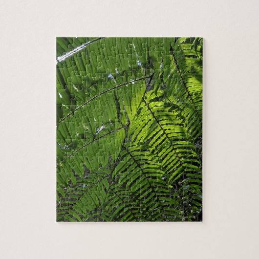 Nationaal park Bach Ma Legpuzzel (Verticaal)