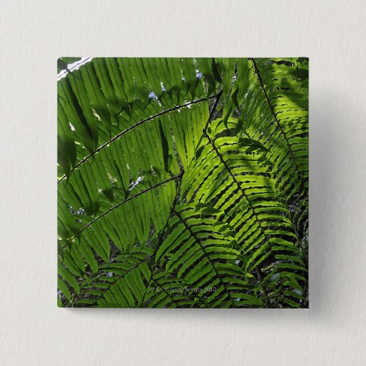 Nationaal park Bach Ma Vierkante Button 5,1 Cm (Voorkant)