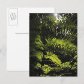Nationaal park Bach Ma, Vietnam Briefkaart (Voorkant / Achterkant)