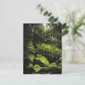 Nationaal park Bach Ma, Vietnam Briefkaart (Staand voorkant)