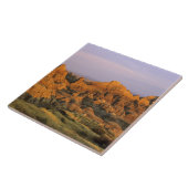 Nationaal Park Badlands in South Dakota Tegeltje (Zijkant)