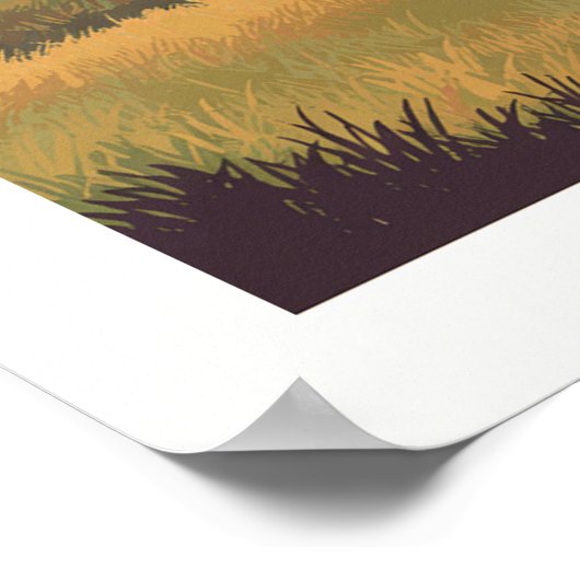 Nationaal Park  Badlands Poster (Hoek)