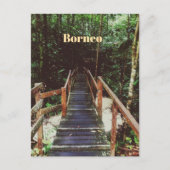 Nationaal park Bako - Borneo Briefkaart (Voorkant)