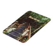 Nationaal park Bako - Borneo Magneet (Linkerzijde)