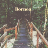 Nationaal park Bako - Borneo Sticker (Voorkant)