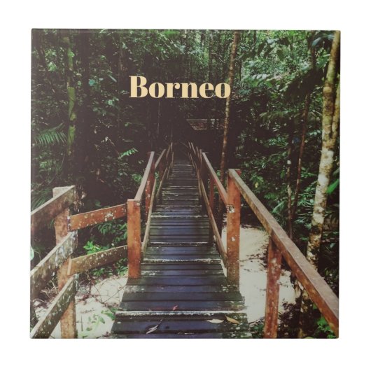 Nationaal park Bako - Borneo Tegeltje (Voorkant)