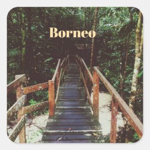 Nationaal park Bako - Borneo Vierkante Sticker