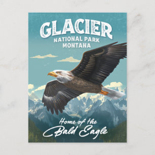 Nationaal Park Bald Eagle Briefkaart