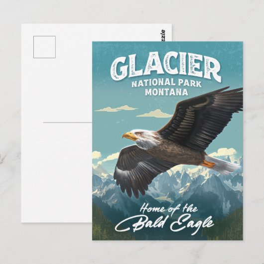 Nationaal Park Bald Eagle Briefkaart (Voorkant / Achterkant)