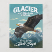 Nationaal Park Bald Eagle Briefkaart (Voorkant)