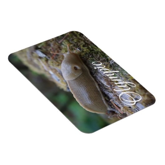 Nationaal Park Banana Slug in Mossy Log Magneet (Rechterzijde)