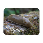 Nationaal Park Banana Slug in Mossy Log Magneet (Horizontaal)